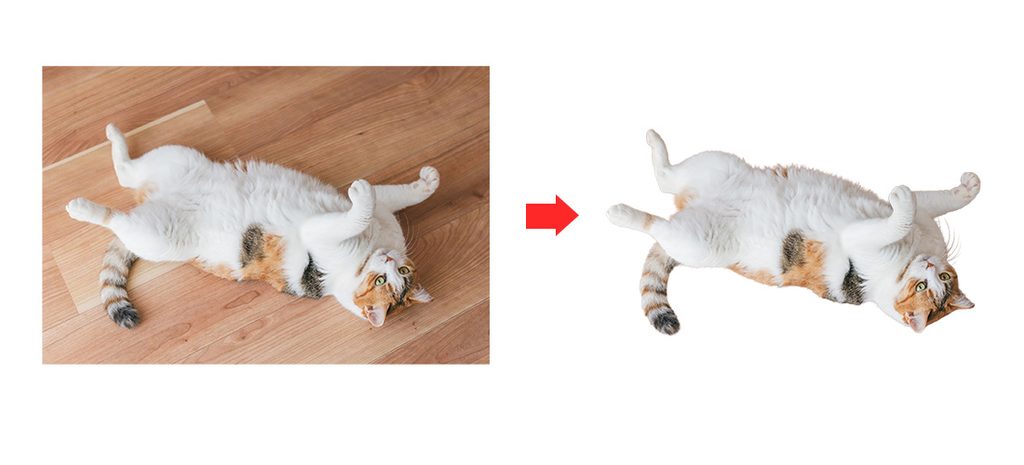猫の切り抜き画像